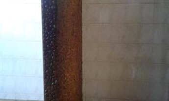 Imagem 6: Aluguel Casa com 3 dormitórios