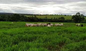 Imagem 3: Excelente oportunidade