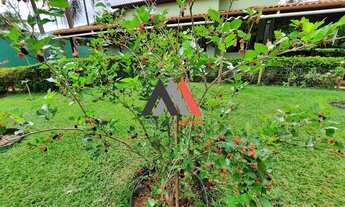 Imagem 2: Sitio de alto padrão 2.500 m²