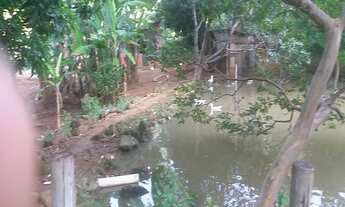 Imagem 3: SITIO RURAL em Macaé - RJ, Bicuda Grande