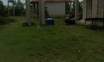 Imagem 5: Lote-Caminho de Abrolhos- 450m²-400 mts da Praia,R$13 mil, C/ ESCRITURA REGISTRADA-Nova Vi