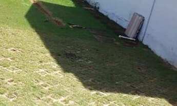 Imagem 3: Terreno à venda, 450 m² por R$ 454.950,00 - Cidade Universitária - Campinas/SP