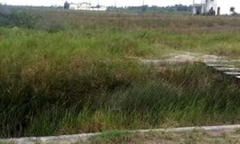 Imagem 4: Lote-Caminho de Abrolhos- 450m²-400 mts da Praia,R$13 mil, C/ ESCRITURA REGISTRADA-Nova Vi