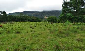Imagem 3: CH21 Chácara para venda, com casa simples em Rolante-RS