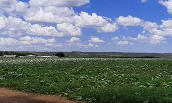 Imagem 7: Fazenda Núcleo Rural Itapeti 211 Hectares Escriturada e Registrada !!! 18.000.000 !!