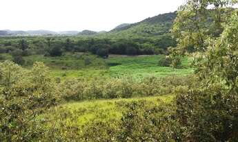 Imagem 6: Fazenda Urubus à venda, com 3.864.000 metros quadrados no bairro Vale das Pedrinhas