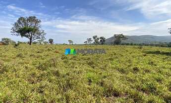 Imagem 3: FELIXLâNDIA - Fazenda - Zona Rural