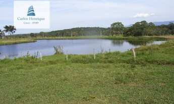Imagem 5: Fazenda para Venda em Interior Poconé-MT