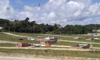 Imagem 4: Lotes em Camaçari