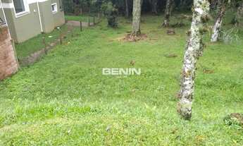 Imagem 2: CANELA - Terreno Padrão - CENTRO