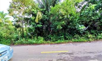 Imagem 2: Vende/Chácara/Terreno/lote/Condomínio Janauary 2/Iranduba/1800 metros quadrados