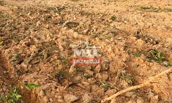 Imagem 5: Fazenda em Lizarda-TO. > 358 Alq. (1.732 Há). p/ Lavoura