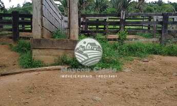 Imagem 6: Vale do Anari - Fazenda - 63 Alqueires