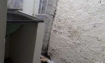 Imagem 4: Kitnet/conjugado para aluguel tem 23 metros quadrados com 1 quarto