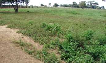 Imagem 5: Fazenda de 3323 alqueires no Vale do Araguaia
