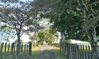 Imagem 5: Sitio 12,7 alqueires ou 30,73 hectares - Região Itapetininga SP