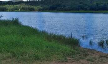 Imagem 7: Fazenda/Sítio/Chácara para venda tem 1250 metros quadrados em ZON - Alexânia - GO MCIMOVEI