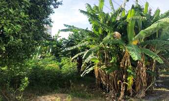Imagem 2: Terreno para Venda em Palhoça, São Sebastião