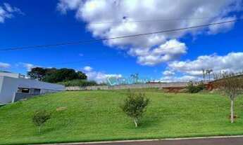 Imagem 3: Terreno à venda, 1350 m² por R$ 800.000,00 - Loteamento Terras de Canaã - Cambé/PR