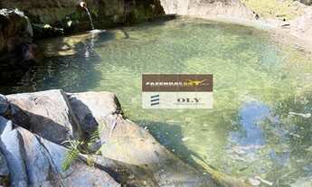 Imagem 3: Chácara Extra em Aparecida de Goiânia ! 2.5 Alqueires !