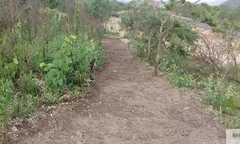 Imagem 5: 8 km S. Jorge ao lado asfalto