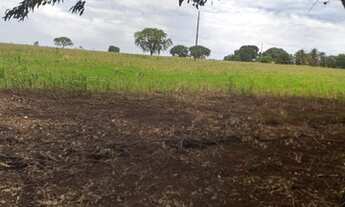 Imagem 3: Fazenda/Sítio/Chácara para venda com 6 Alqueires em Uberaba