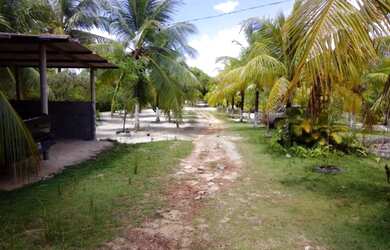 Imagem 4: Vendo sítio com 27.000m² próximo linha verde/Arembepe - R$ 450.000,00