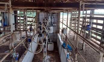 Imagem 3: Sitio para venda sentido Uberaba com 7,5 alqueires