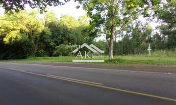 Imagem 2: Terreno às margens da BR 116 em Picada Café na serra gaúcha