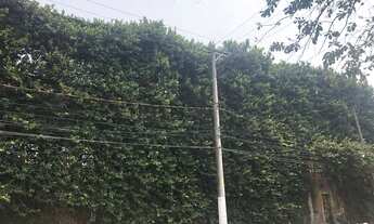 Imagem 4: SãO PAULO - Terreno Padrão - Ipiranga