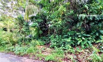 Imagem 5: Vende/Chácara/Terreno/lote/Condomínio Janauary 2/Iranduba/1800 metros quadrados