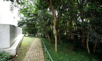 Imagem 7: Ecoville - Lindo apartamento - Ed. Platinum 4 dorms 3 garagens livre