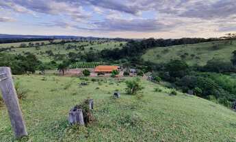 Imagem 7: Excelente Chácara de 1.5 alqueires - 6 km de Nerópolis