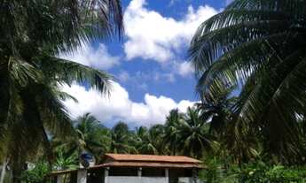 Imagem 2: Chácara 10.306 m² em Conde bahia