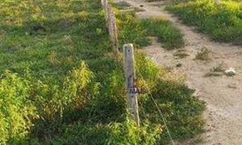 Imagem 5: Sítio com 2 dormitórios à venda, 338800 m² por R$ 570.000,00 - Área Rural de Porto Velho