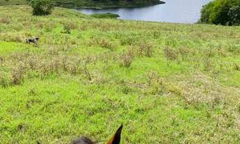 Imagem 7: Fazenda a beira da barragem pedra do cavalo - Bahia