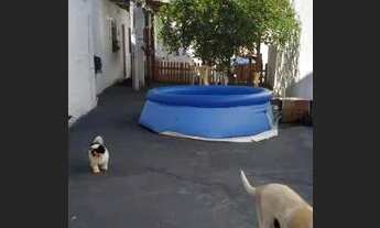 Imagem 3: Alugo casa em Lauro