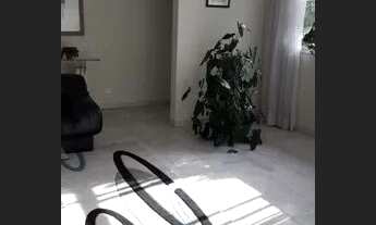 Imagem 5: APARTAMENTO - SAÚDE - SP