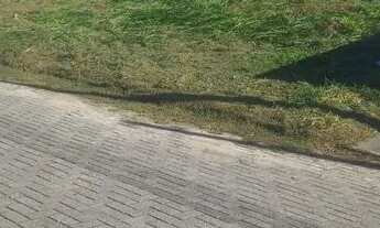 Imagem 5: Terreno a venda ou permulta em São jose