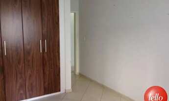 Imagem 6: São Paulo - Casa Padrão - Tatuapé