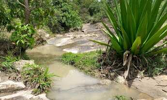 Imagem 2: Chácara 4000m², Energia, Terra Mista, Agua, Arborizada, Entre Guapó e Aragoiânia