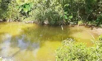 Imagem 5: Vendo Sítio Com Excelente Localização Em Bragança Paulista - Rio Abaixo - 20.000 M²