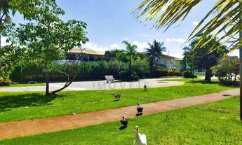 Imagem 6: Vendo Excelente Imóvel No Melício Machado . 407 Metros Quadrados . 6/4 Na Aruana