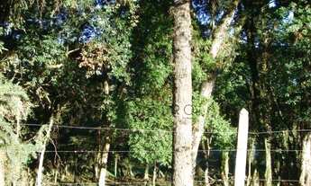 Imagem 6: Terreno no bairro Canelinha em Canela!