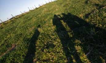 Imagem 5: Lotes com pagamento facilitado