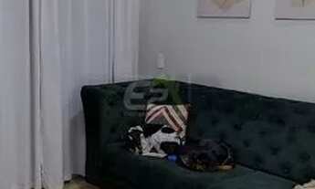 Imagem 3: Venda de Apartamentos / Padrão na cidade de São Carlos