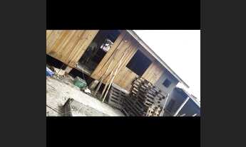 Imagem: Vendo casa de pinos