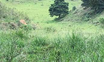 Imagem 4: Sítio tabuleiro Mg