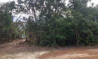 Imagem 2: Fazenda 23 alqueires na região da viúva