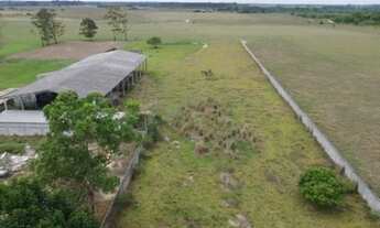 Imagem 7: Área as margens da BR 101, Linhares - ES